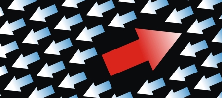 Description: We don't just follow the crowd.